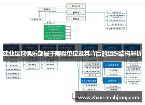 建业足球俱乐部属于哪类单位及其背后的组织结构解析