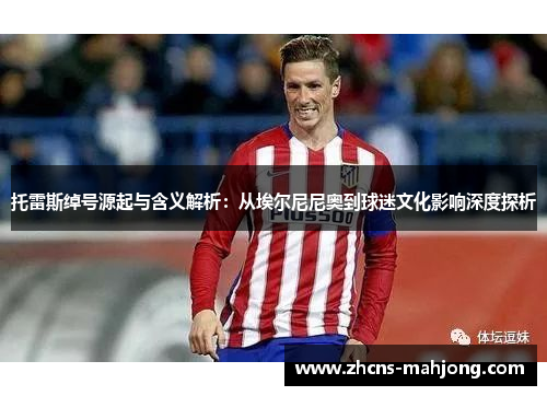托雷斯绰号源起与含义解析：从埃尔尼尼奥到球迷文化影响深度探析