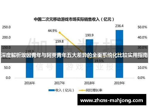 深度解析埃因青年与阿贾青年五大差异的全面系统化比较实用指南