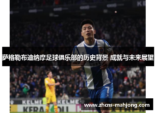 萨格勒布迪纳摩足球俱乐部的历史背景 成就与未来展望